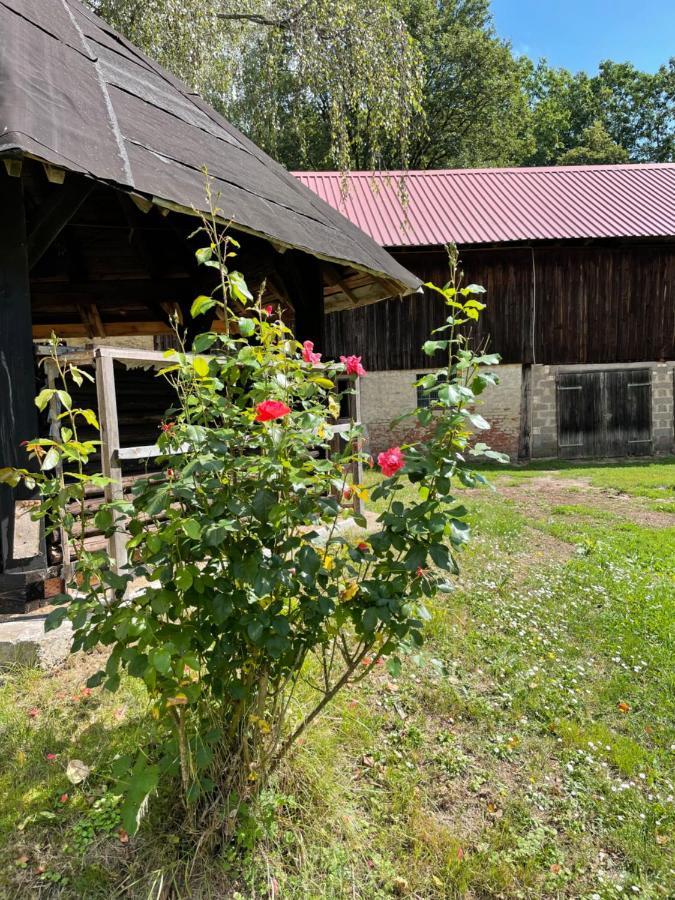 Schellnhof Forsthaus Am Waldrand Appartement Nidda Buitenkant foto